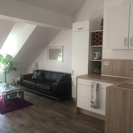Old Bridge View Apartment ハイデルベルク エクステリア 写真