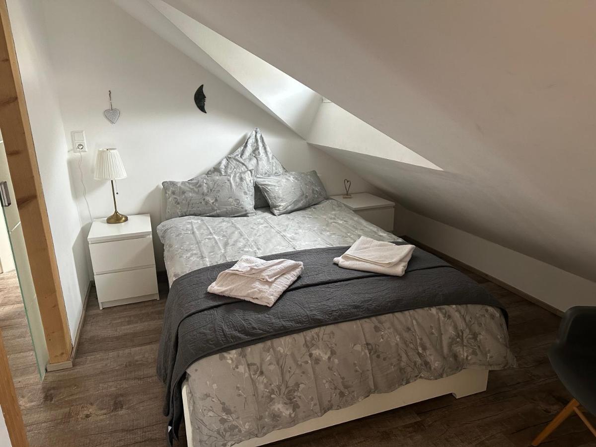 Old Bridge View Apartment ハイデルベルク エクステリア 写真